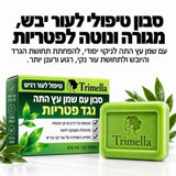 סבון טיפולי ליובש, גרד ועור הנוטה לפטריות